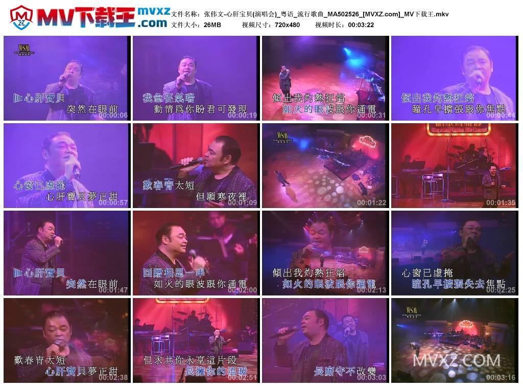 张伟文-心肝宝贝(演唱会)_粤语_流行歌曲_MA502526